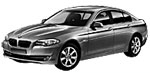 BMW F10 C1391 Fault Code